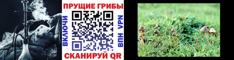 Купить  Нефтеюганск  Галлюциногенные грибы Magic Shrooms 